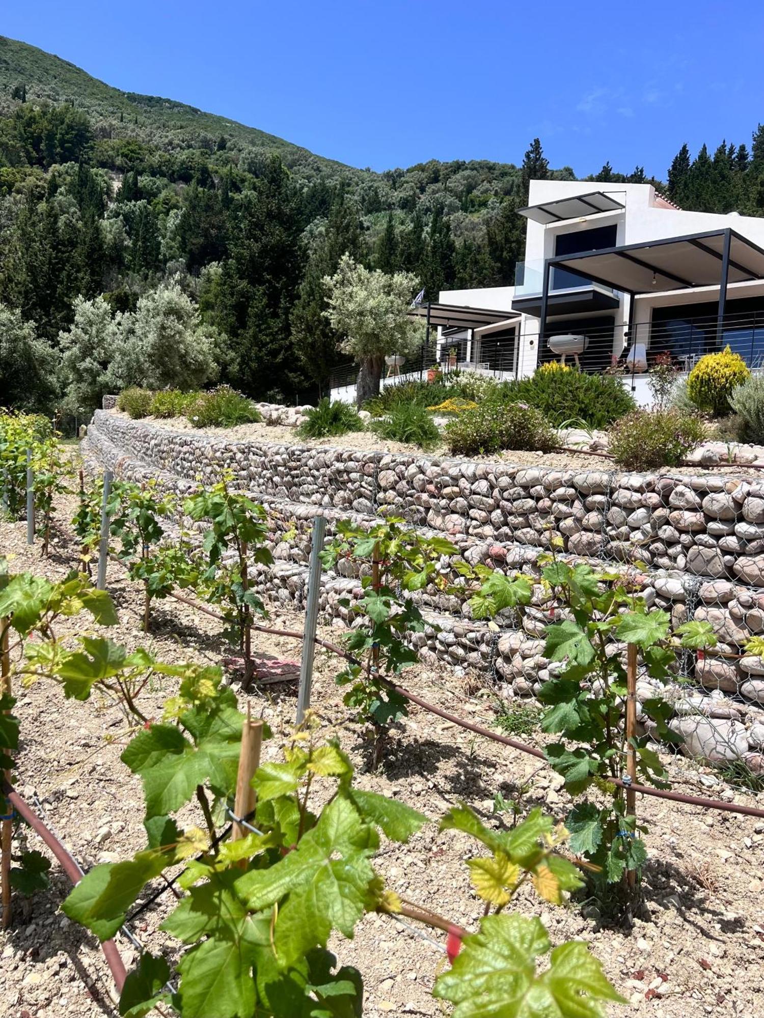 Vasiliki Houses Exterior photo